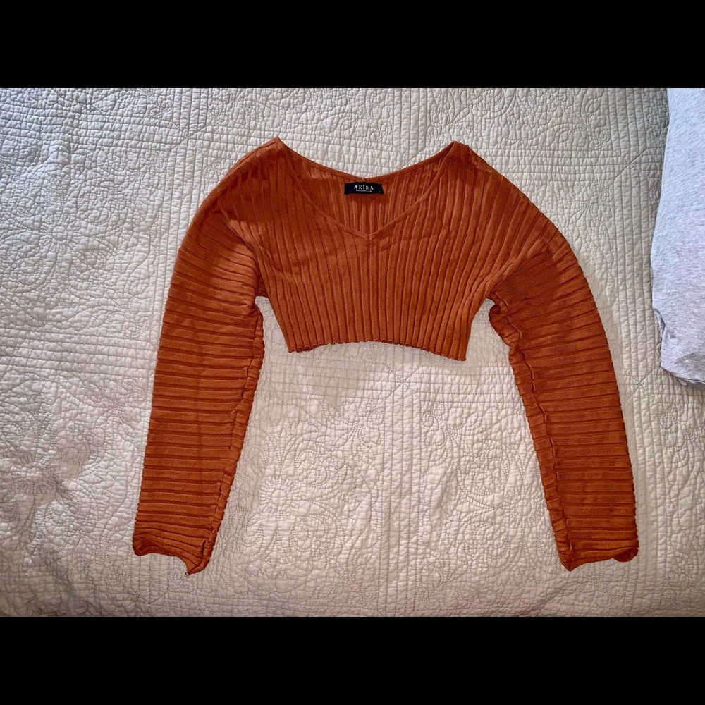 Burnt orange long sleeve crop top sweater